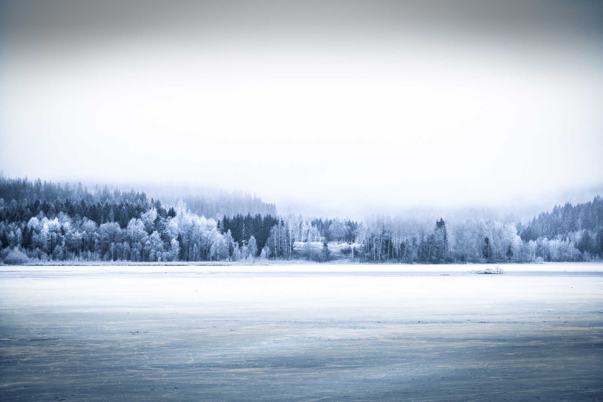 SEASONS OF EARTH - WINTER