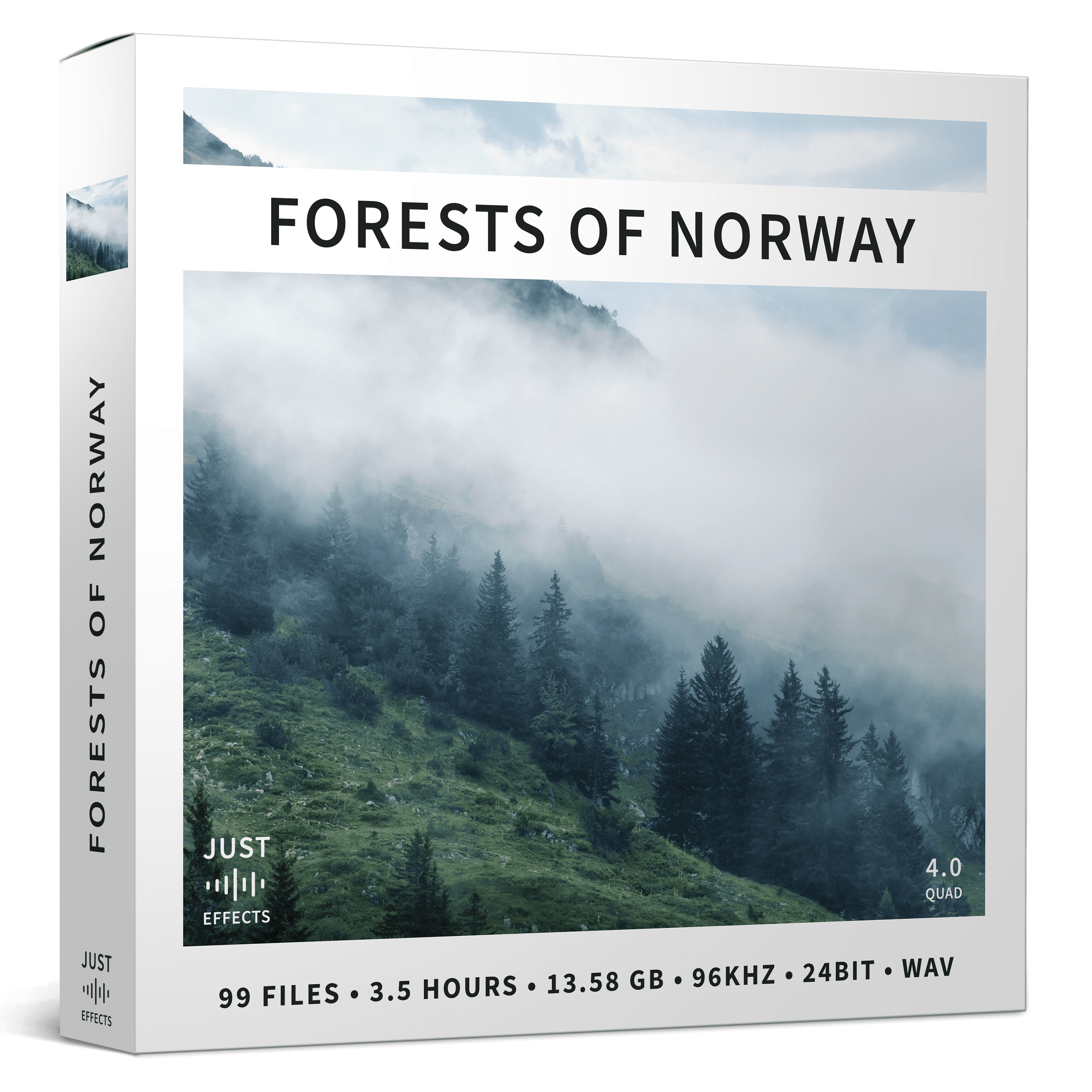 FORESTS OF NORWAY - Image 1
