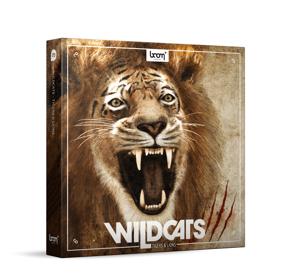 WILDCATS - Image 1