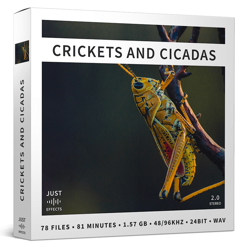 Crickets and Cicadas - Image 1