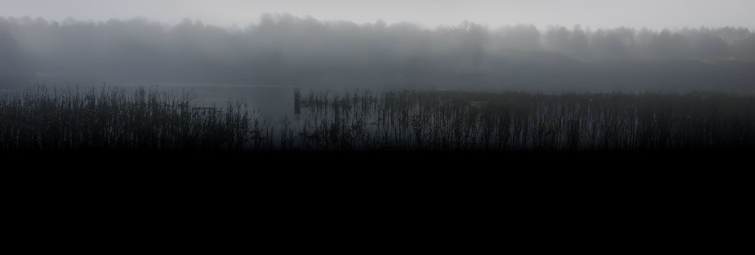 Swamps