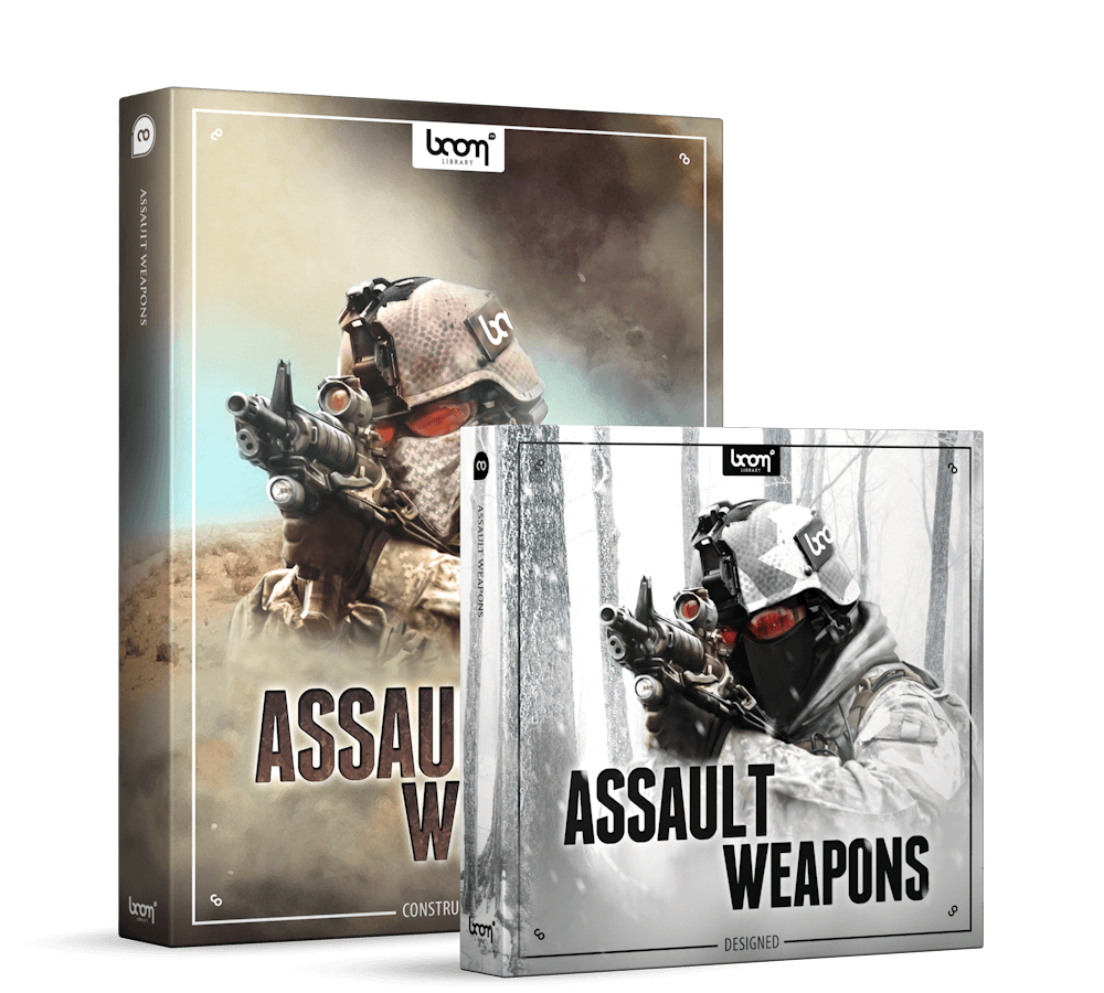 ASSAULT WEAPONS - Image 1