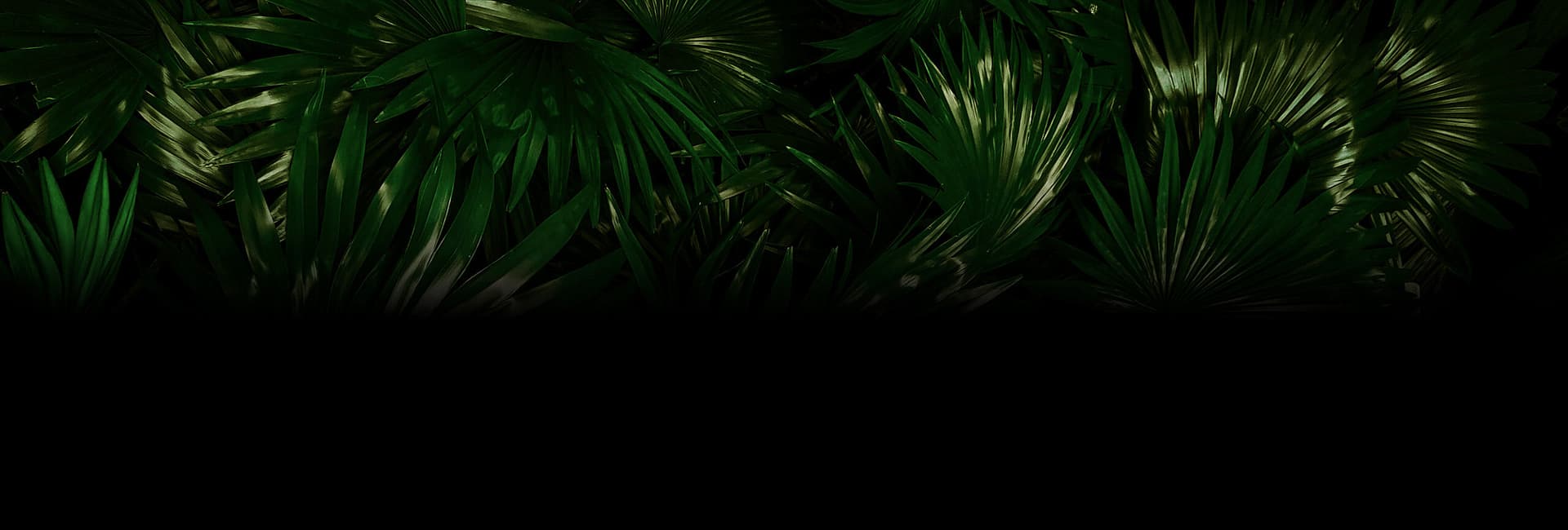 TROPICAL JUNGLE