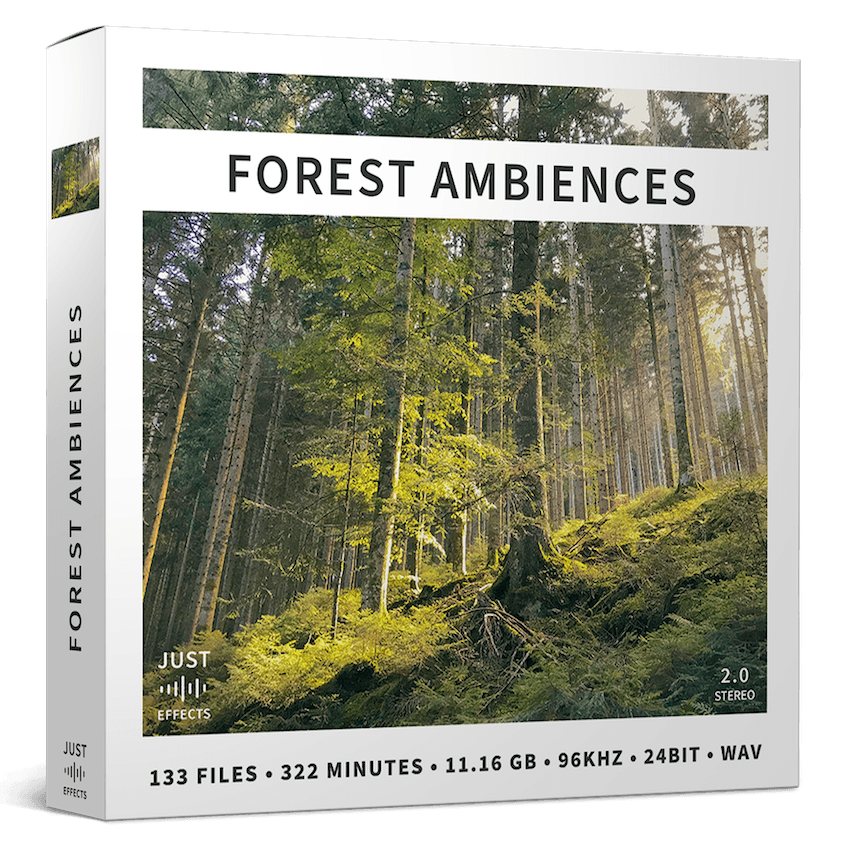 FOREST AMBIENCES - Image 1