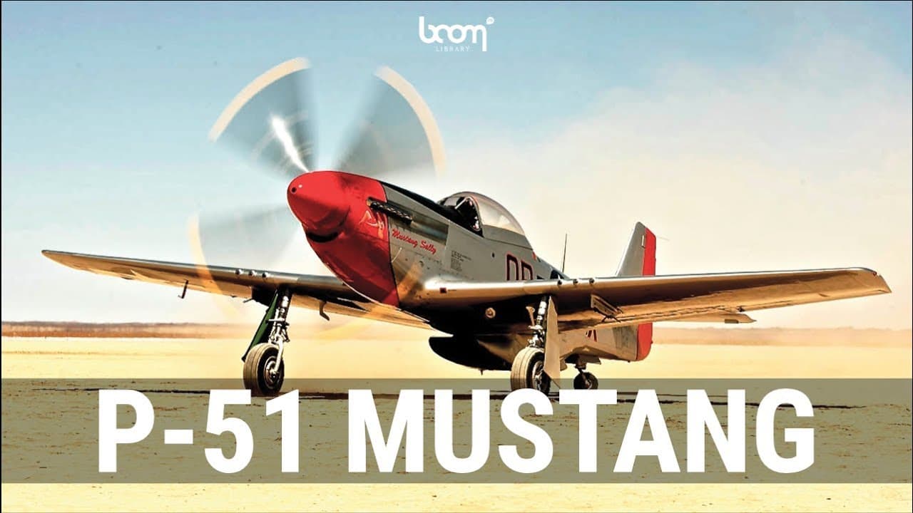 P-51 MUSTANG