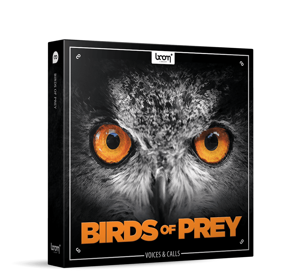 BIRDS OF PREY - Image 1