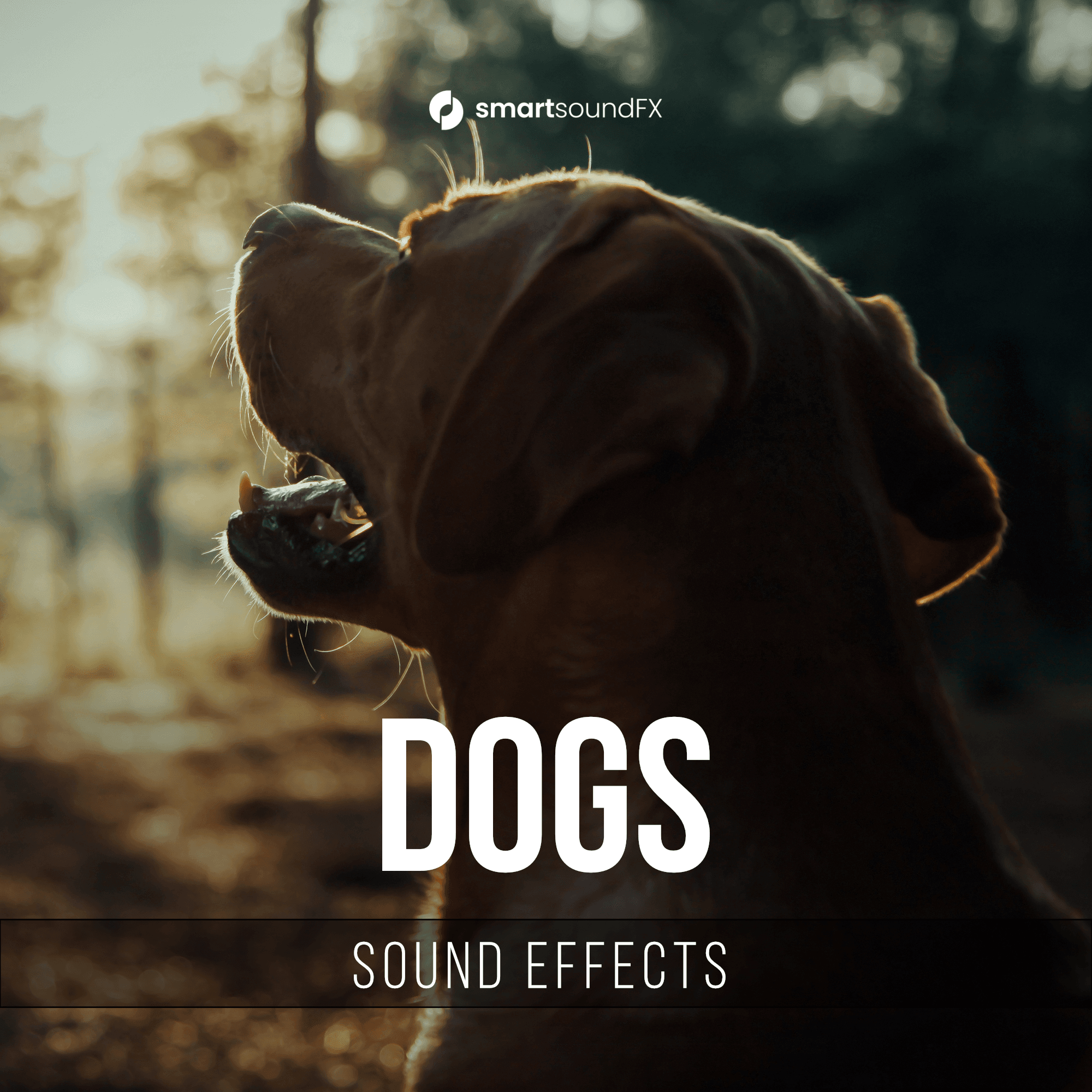 Dogs - Image 1
