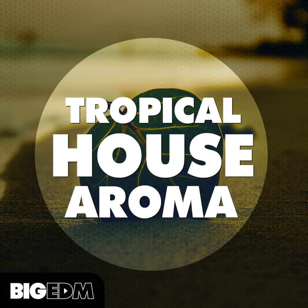 Tropical House Aroma - Image 1