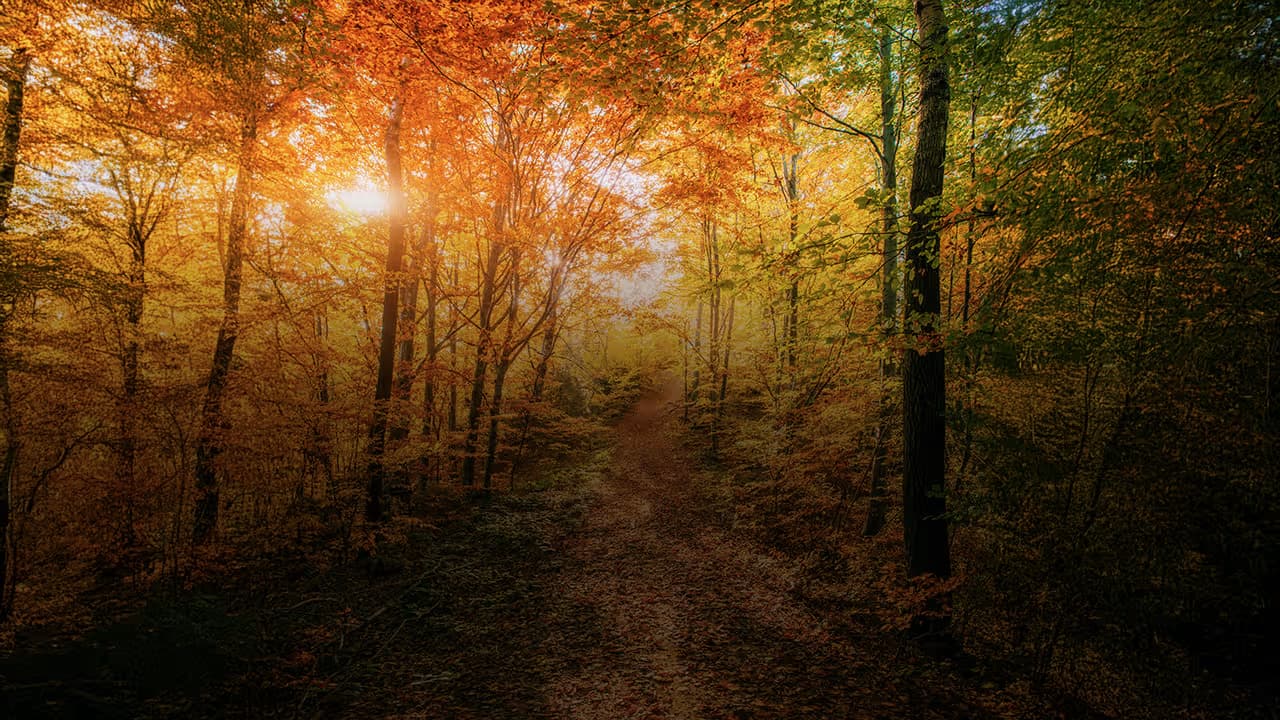 Seasons Of Earth - European Autumn