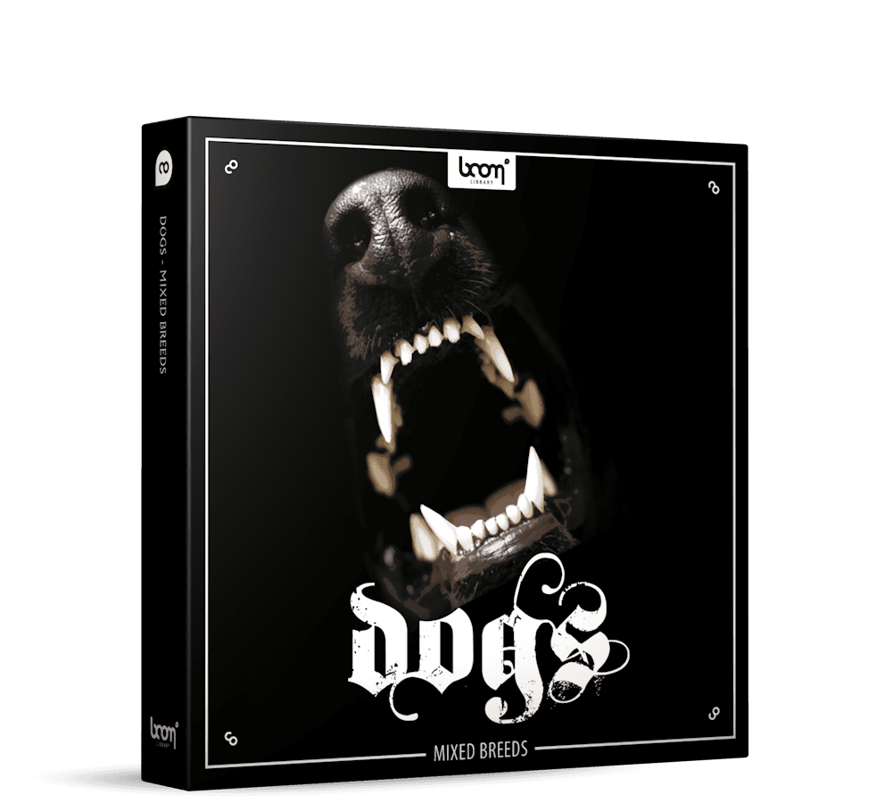 DOGS - Image 1