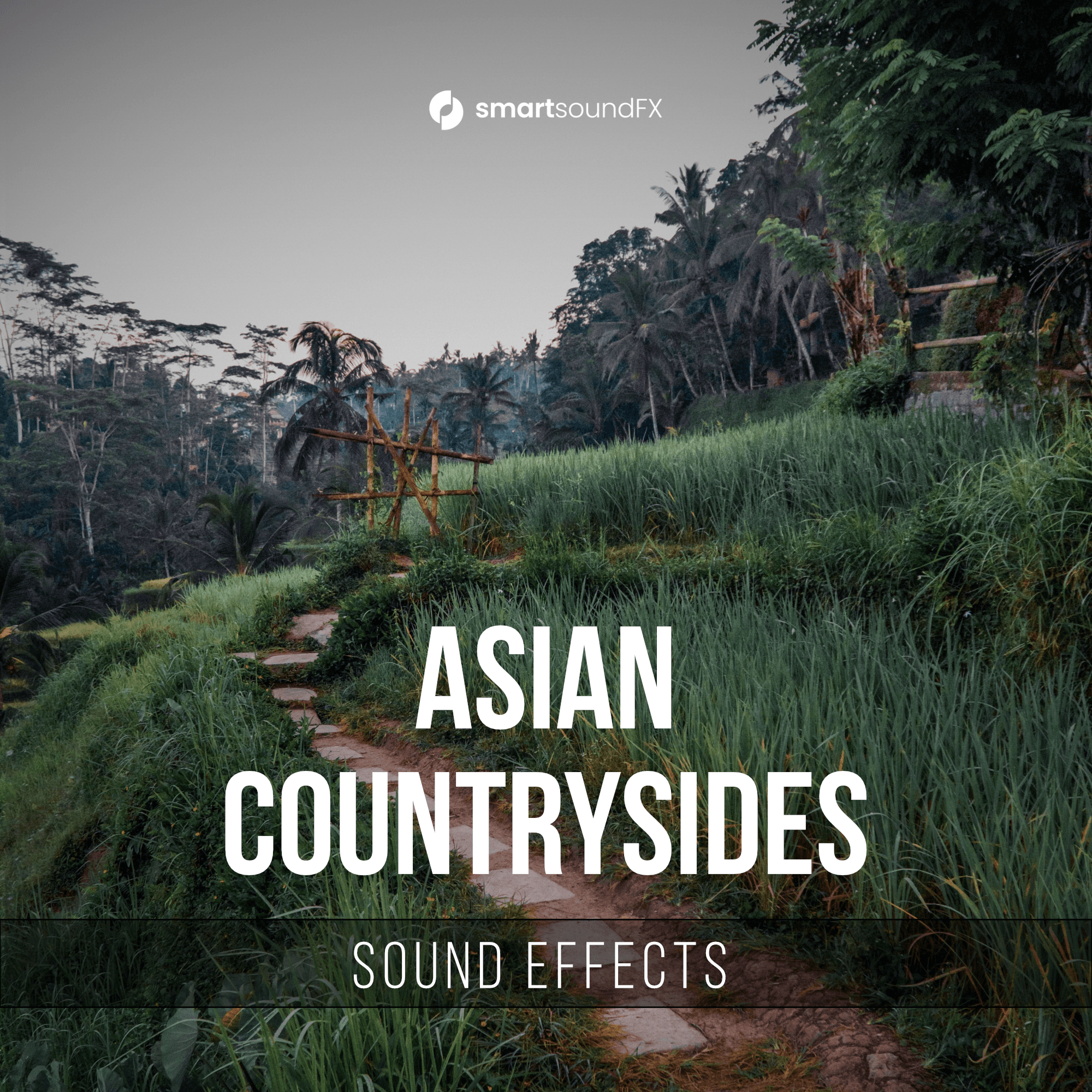 Asian Countrysides - Image 1