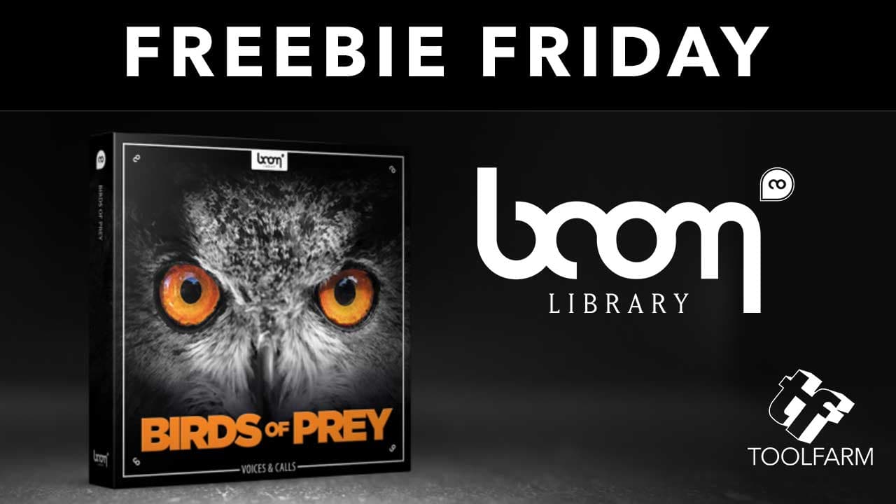 BIRDS OF PREY