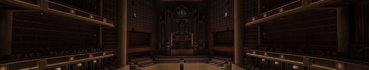 The Orchestra