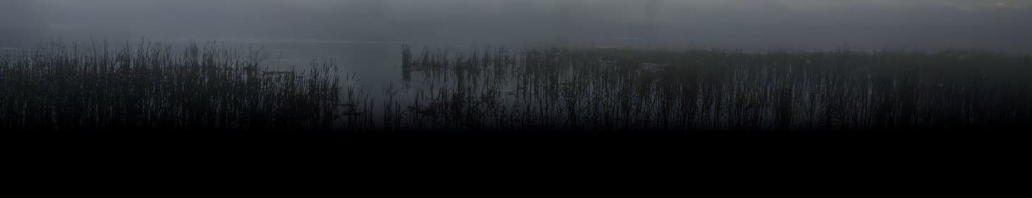 Swamps