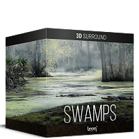 Swamp - Stereo - Image 1