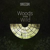 The Orchestra - Woods of the Wild - Image 1