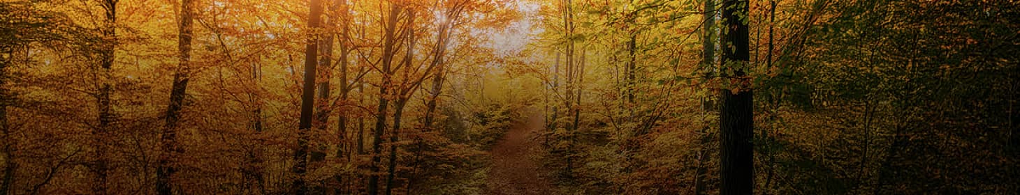 Seasons Of Earth - European Autumn